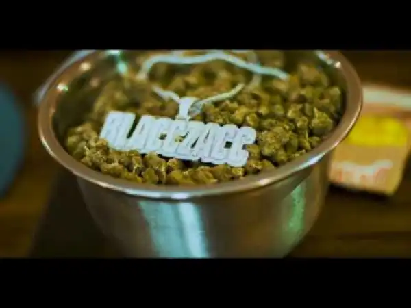 Video: Blacc Zacc - Different Raccs